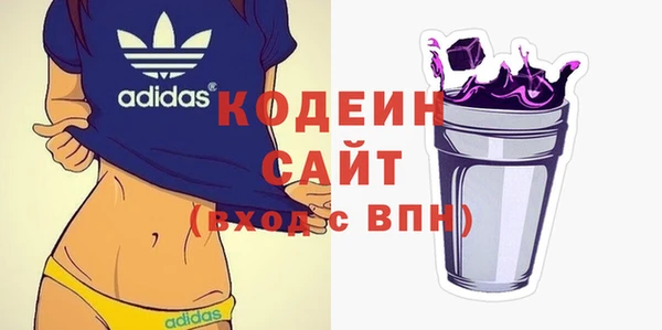 хмурый Арсеньев