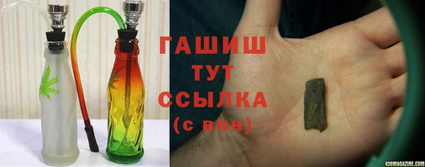 хмурый Арсеньев