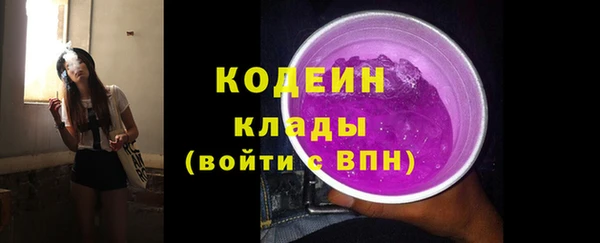 хмурый Арсеньев